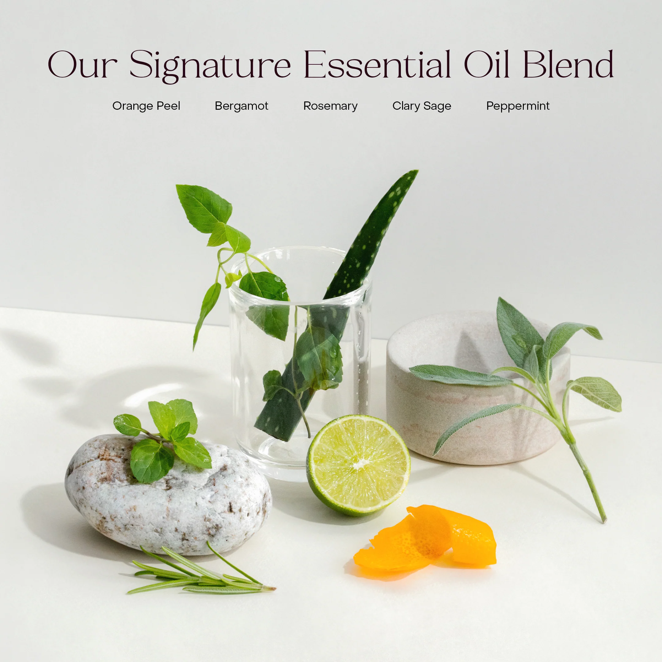 Haircare Travel Duo - Image 5