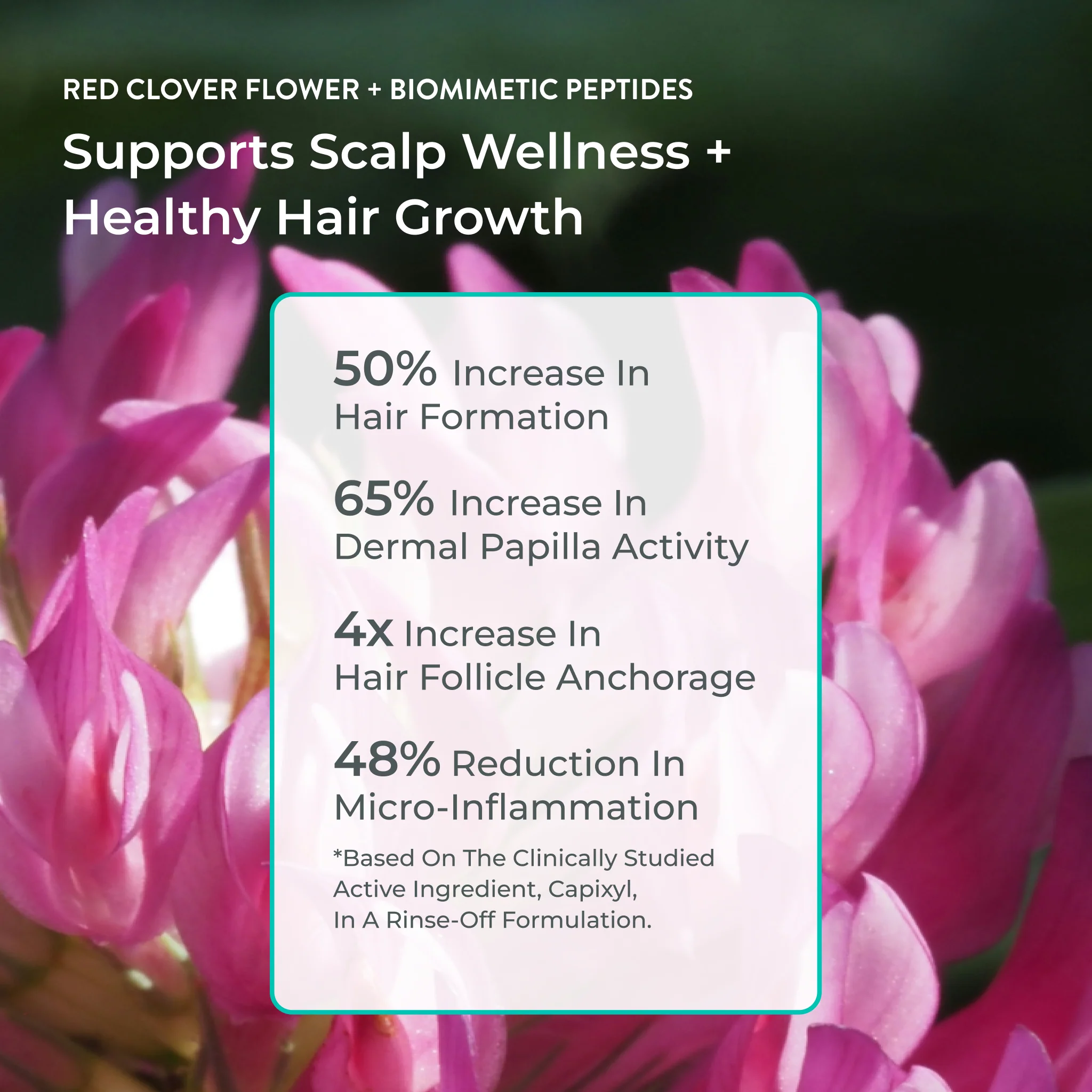 Better Roots Growth Support Shampoo - Image 4