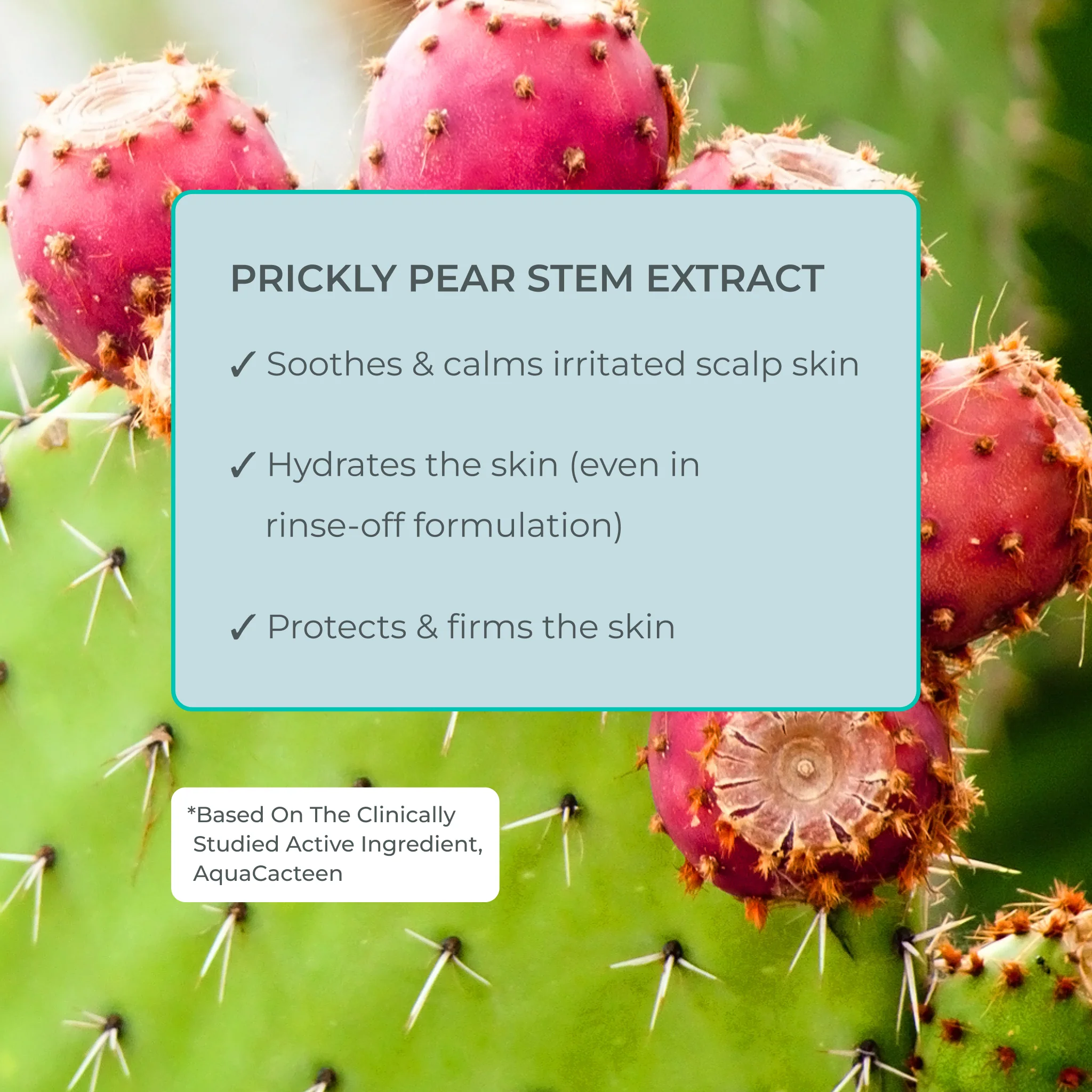Better Roots Growth Support Shampoo - Image 5