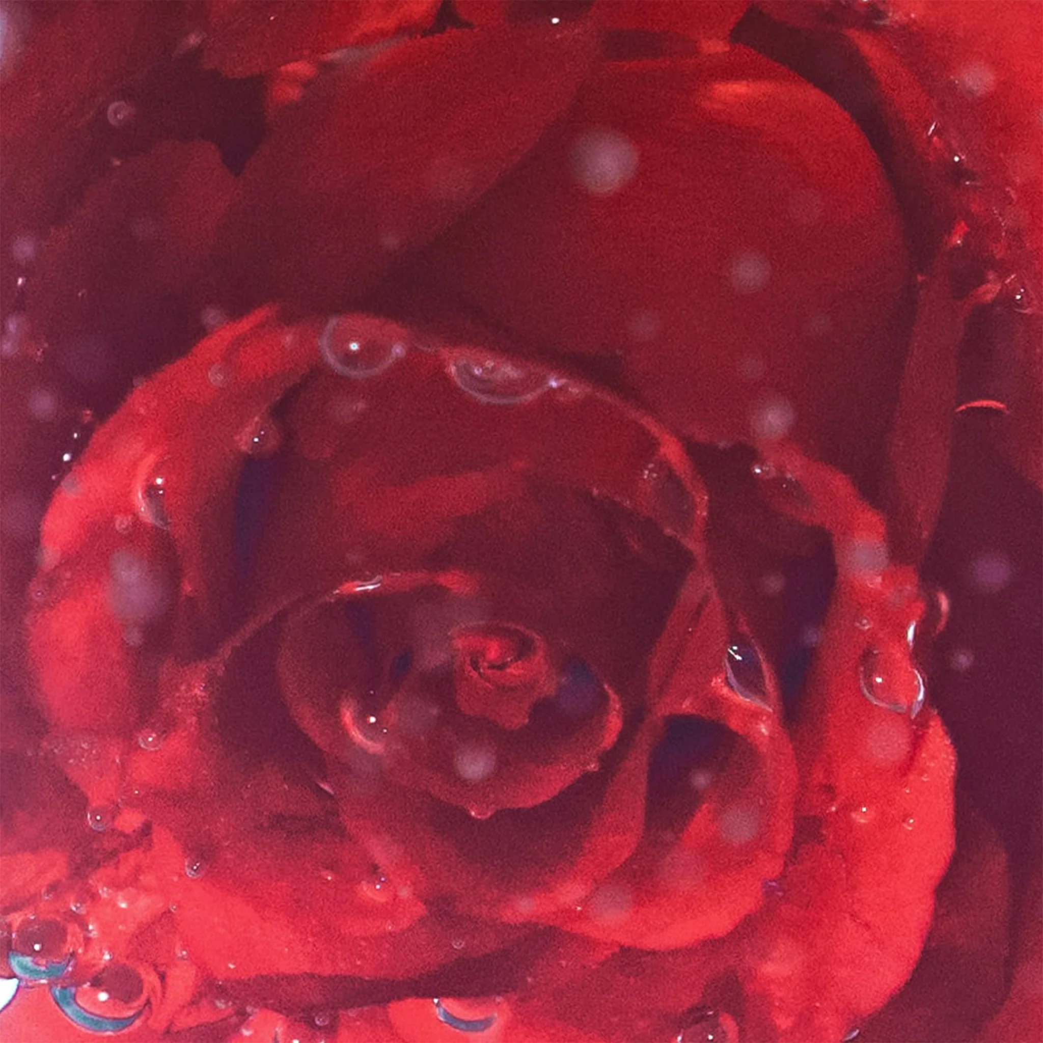 Rose + Neroli Hydra-Vitalizing Treatment Mist - Image 4