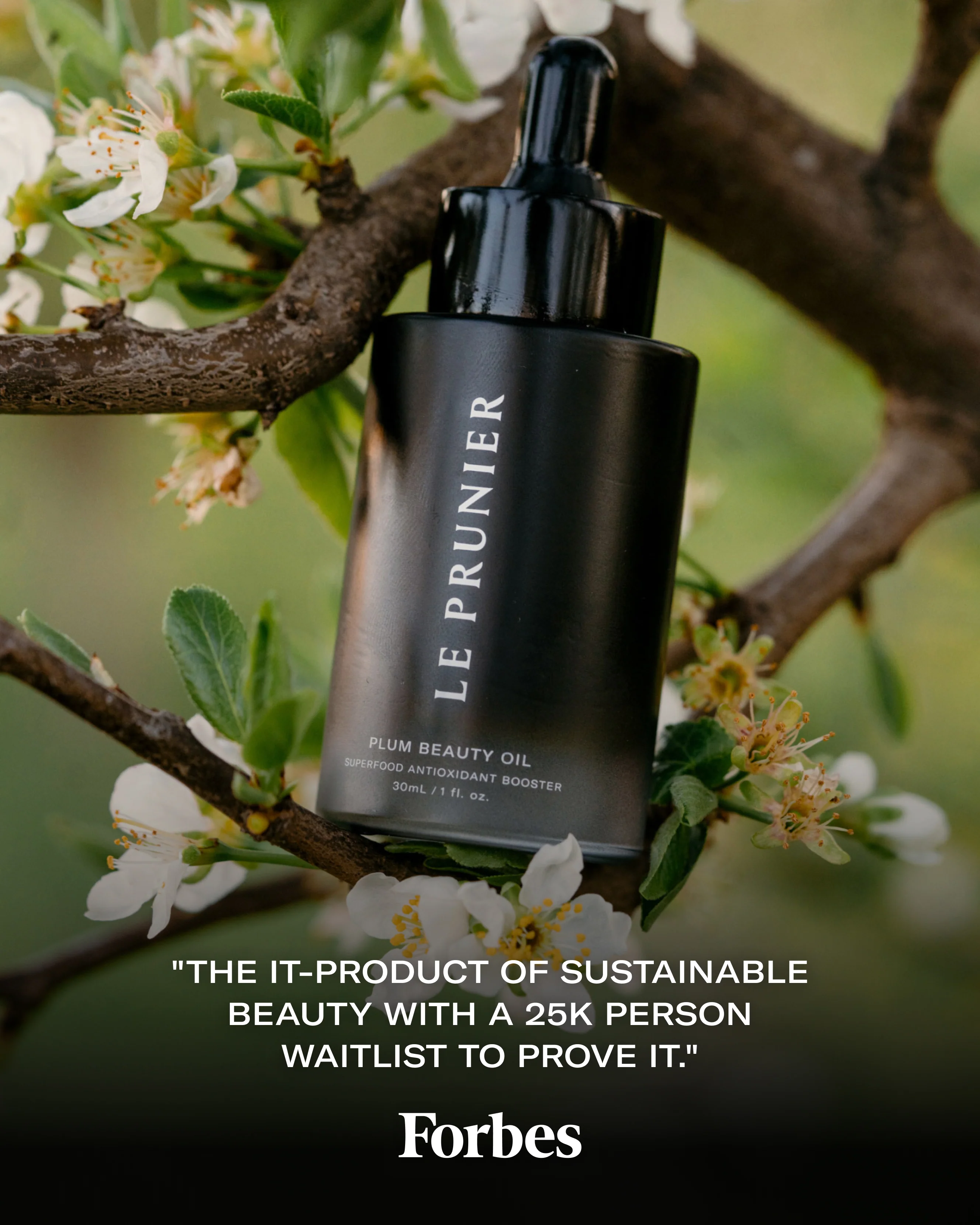 Plum Beauty Oil - Image 6