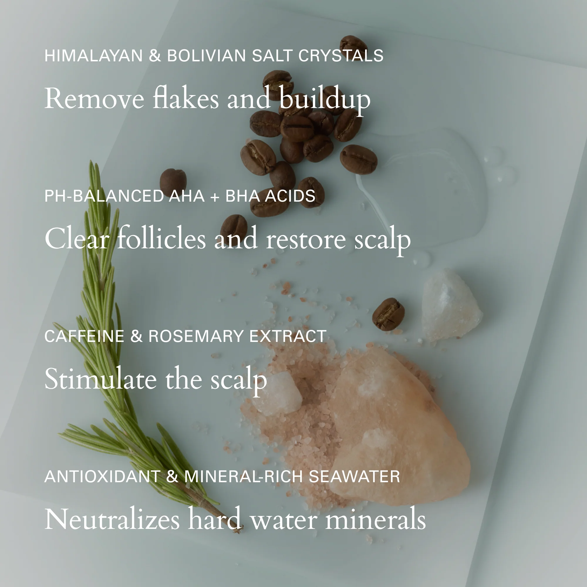 Salt Scalp Scrub Exfoliating Detox Shampoo - Image 3