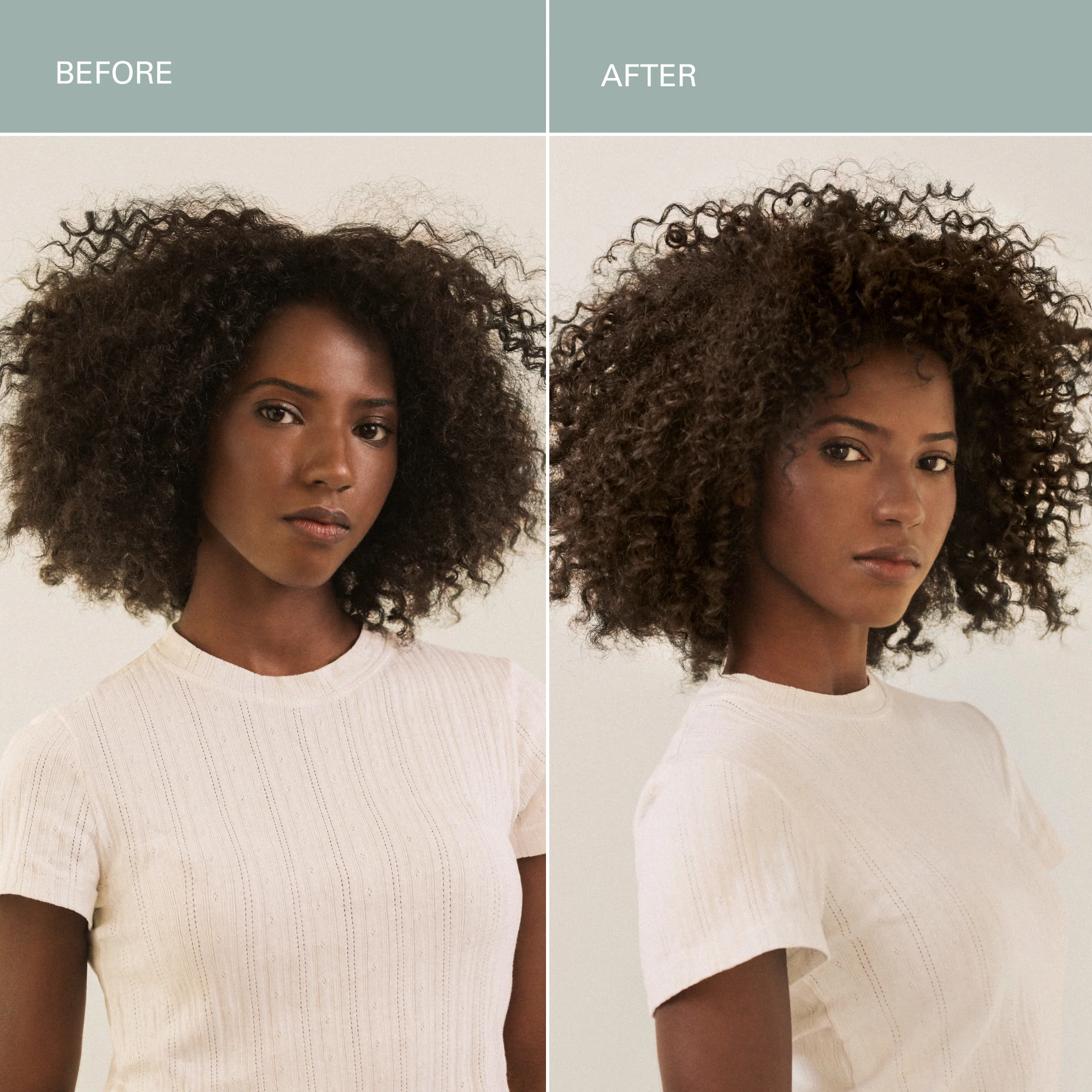 Willow Glen Treatment Oil - Image 4