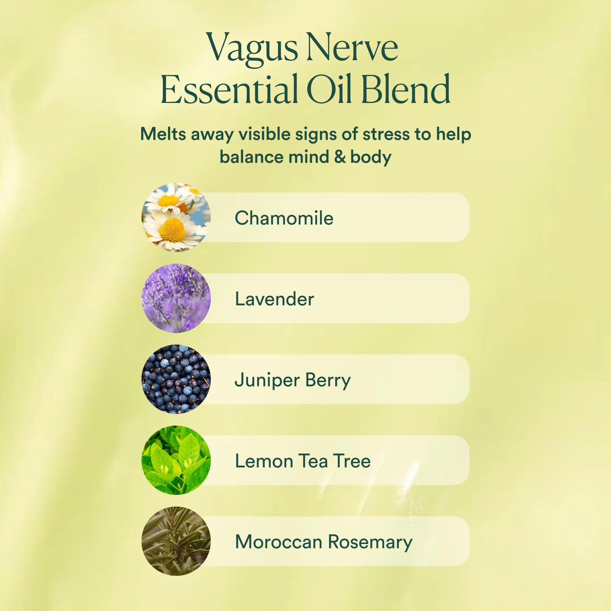 Vagus Nerve Oil - Image 3
